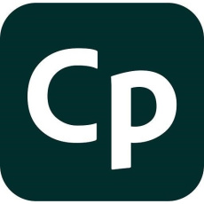 Captivate for teams MP ML GOV NEW 1 User, 12 Months, Level 1, 1 - 9 Lic