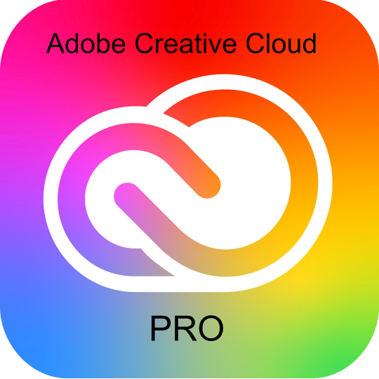 Adobe Creative Cloud Pro for teams MP ML (+CZ) COM 1 User, 12 Months, Level 4, 100+ Lic