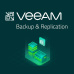 Veeam Backup & Replication Enterprise per VM (1VM/12M)