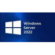 FUJITSU Windows 2022 - WINSVR RDS 10 User - pro všechny systémy a výrobce - OEM