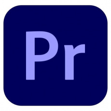 Premiere Pro for teams MP ML GOV RNW 1 User, 12 Months, Level 1, 1-9 Lic