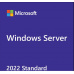 Windows Server CAL 2022 ENG 1 Clt Device CAL OEM