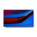SHARP/NEC MultiSync P556 55" P-Series Large Format Display, UHD, WCG, 700cd/m2, E-LED backlight, 24/7, SDM Slot, USB-C